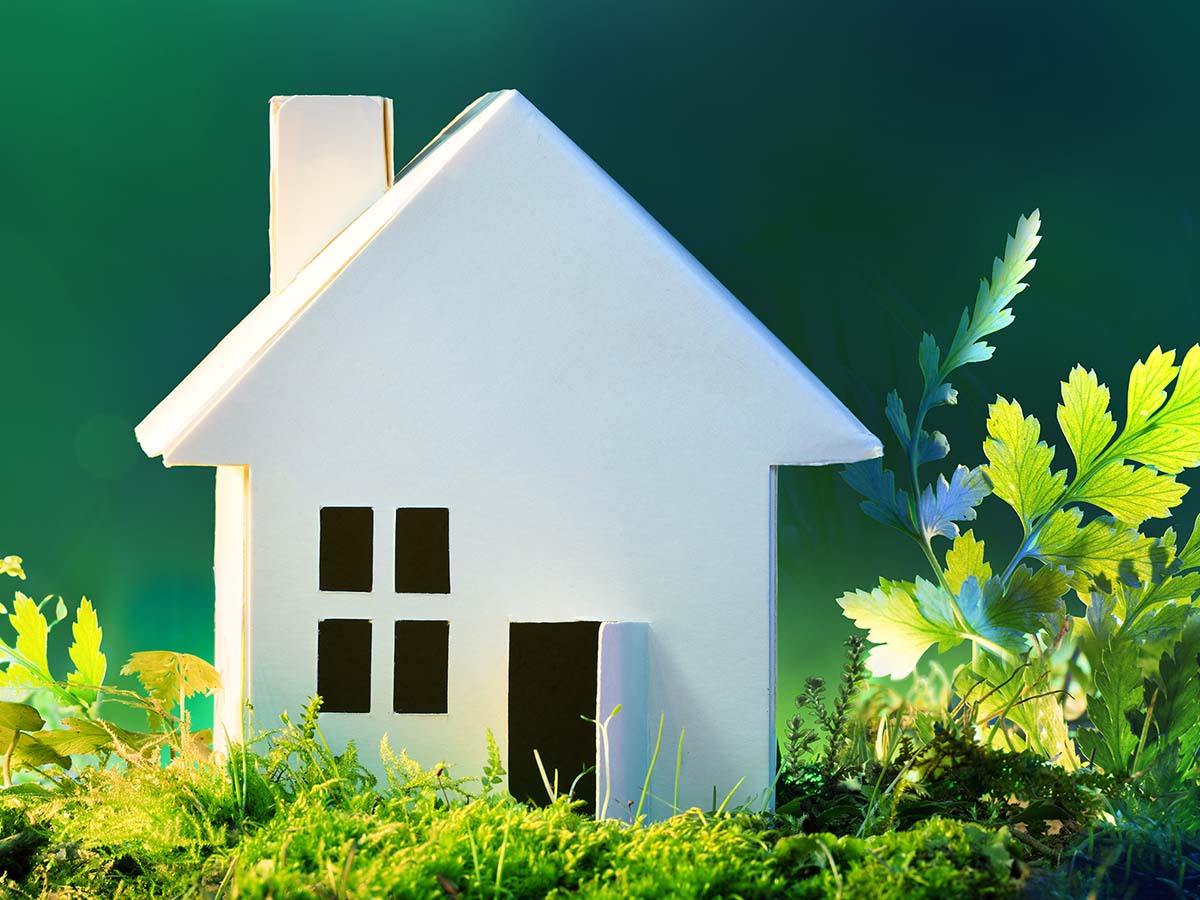 Eco friendly house/house materials
