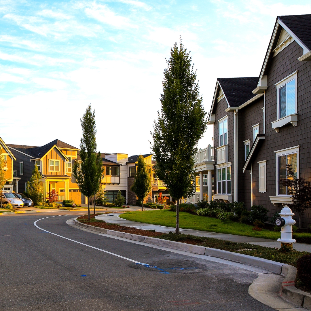 Houses in a residential neighborhood 